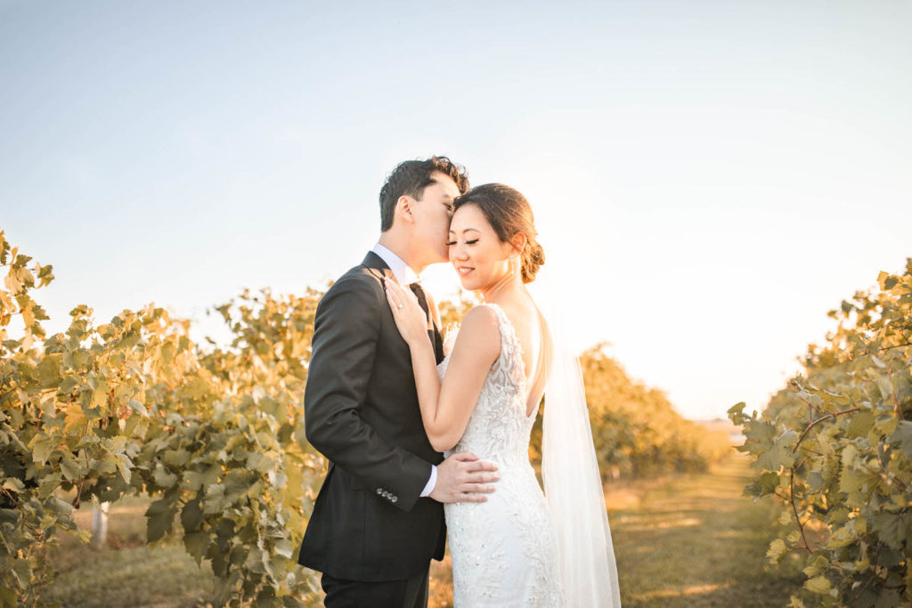 California Vineyard elopement 