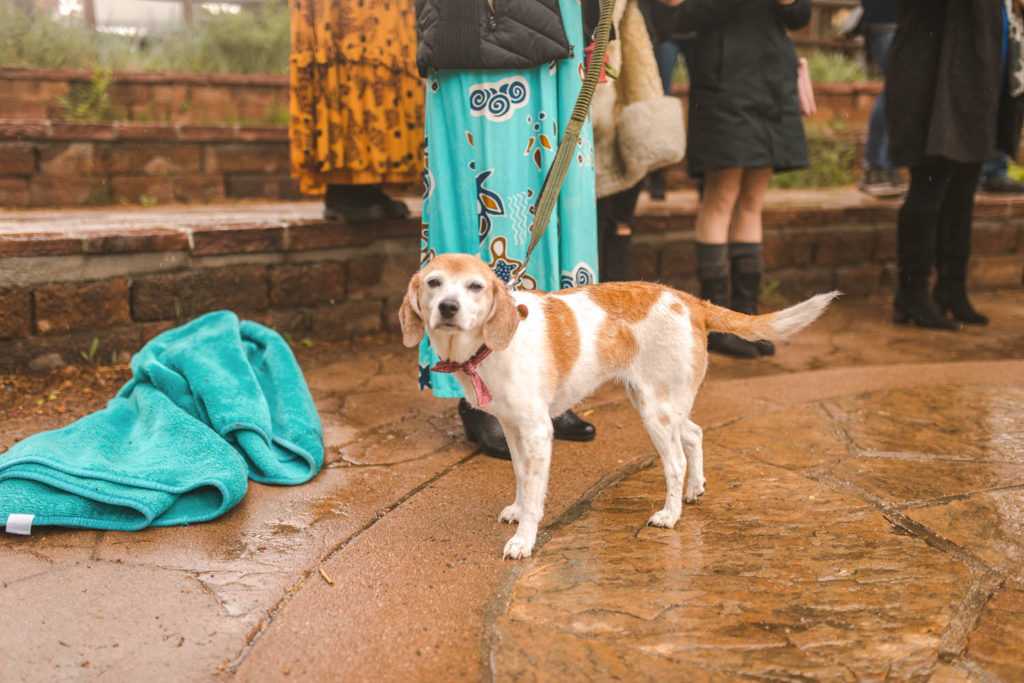 colorado small intimate wedding