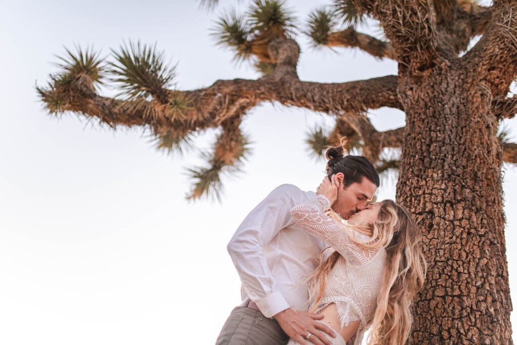 joshua tree elopement photographer